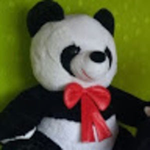 Meet your Posher, Sandra liliana silva perez